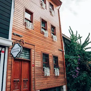 Hotel Gulliver Mansion