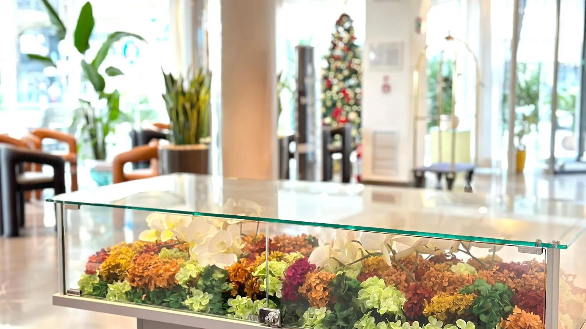 Club House Hotel Rimini